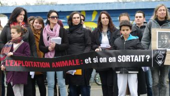 Une manifestation contre la présence d’animaux sauvages dans les cirques