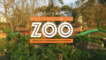 « Une saison au zoo » : le Zoo de La Flèche confirme une 12ème saison