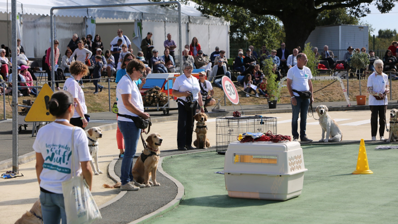 Chiens Guides d'Aveugles