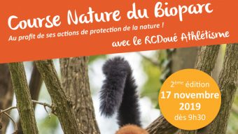 Course Nature au Bioparc de Doué-la-Fontaine ce dimanche