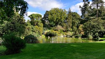 Ouverture exceptionnelle des parcs et jardins d’Angers jusqu’à 22h
