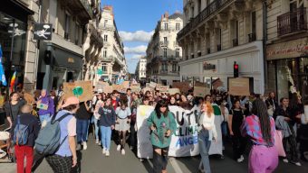 Une manifestation pour le climat à Angers ce vendredi 25 mars
