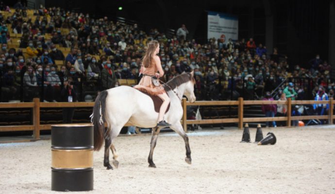 Le salon du cheval aura lieu les 11, 12 et 13 novembre 2022 à Angers