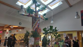 Un « baobab rêveur » inauguré à l’école Annie Fratellini