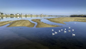 Un projet d’exposition photo pour sensibiliser sur l’état préoccupant de la Loire