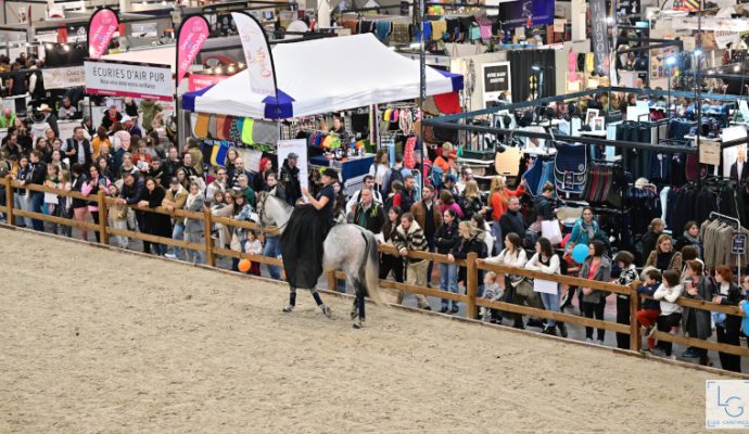 Le Salon du Cheval d’Angers revient en novembre pour sa huitième édition